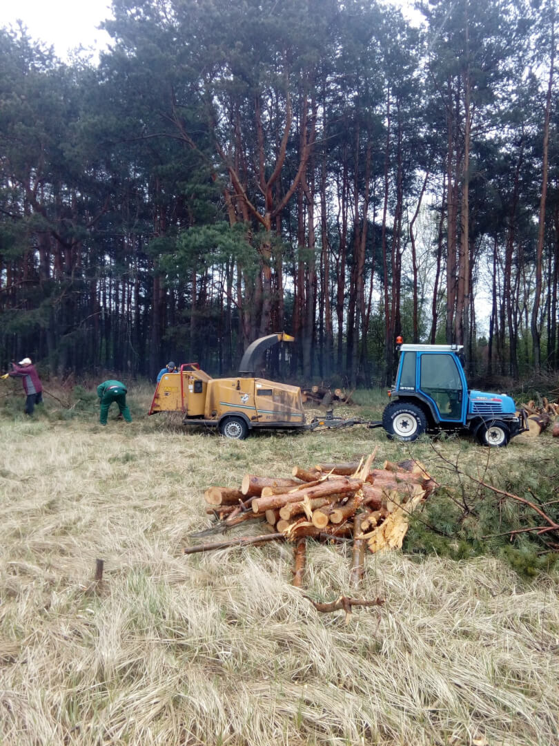 czyszczenie terenów zielonych warszawa