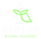 Dantom- wycinka drzew, czyszczenie działek Warszawa