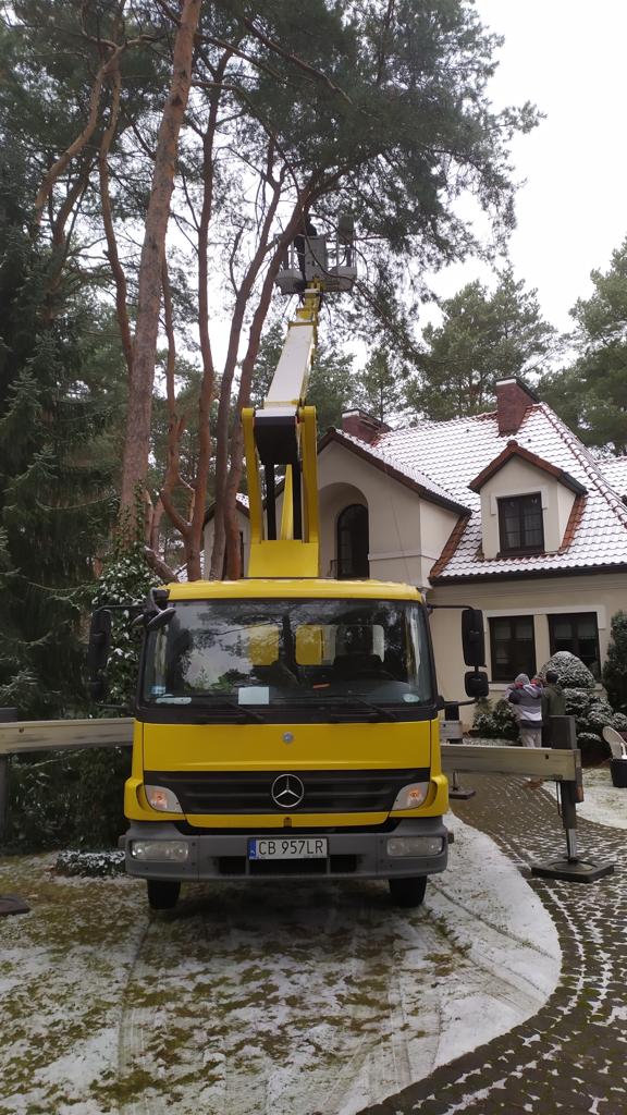 wycinka drzew z podnośnika warszawa